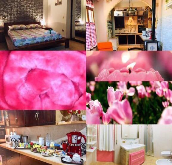 Decimomannu Il Mandarino Bed & Breakfast エクステリア 写真
